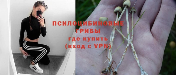 СК Зерноград