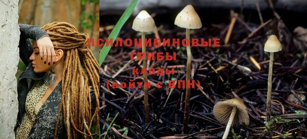 кристаллы Заволжье