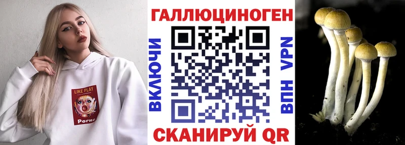 Псилоцибиновые грибы ЛСД  Купить закладки  Змеиногорск 